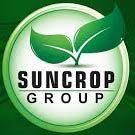 Suncrop - سن کراپ